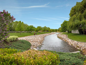 Photo of a local subdivision