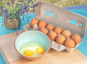 Farm fresh eggs from a local farm in Ontario Oregon